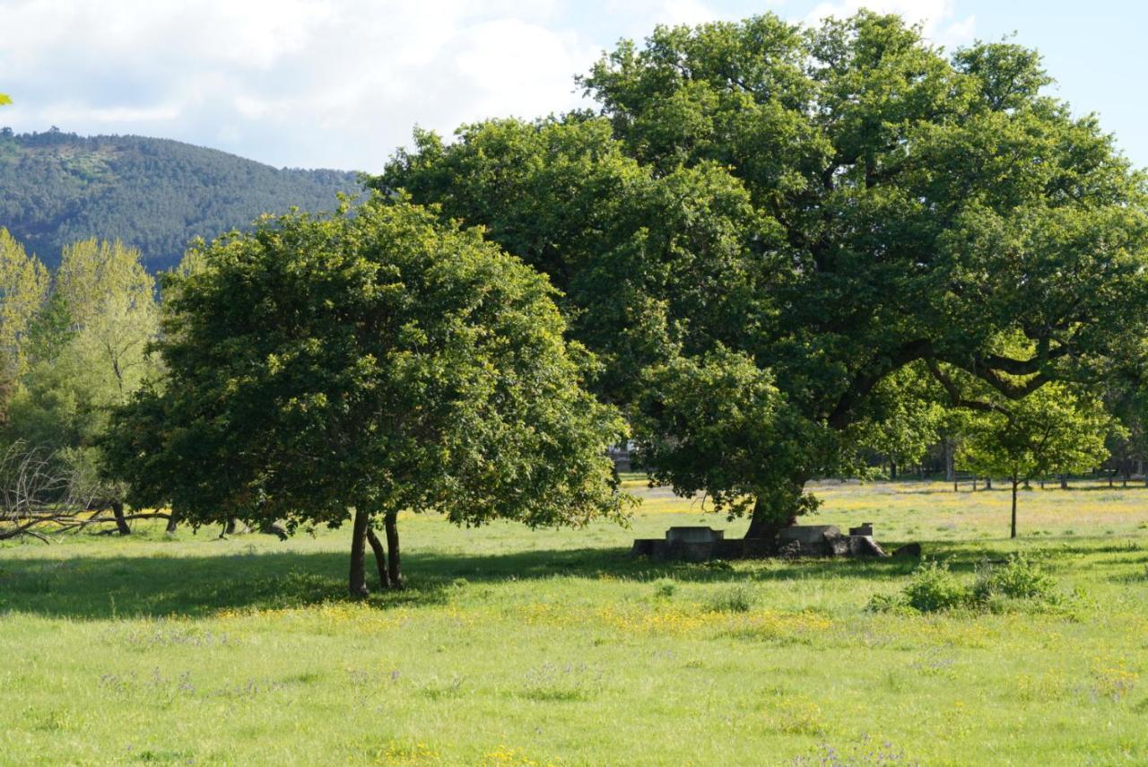 Quinta Do Areal Διαμέρισμα Lousã Εξωτερικό φωτογραφία
