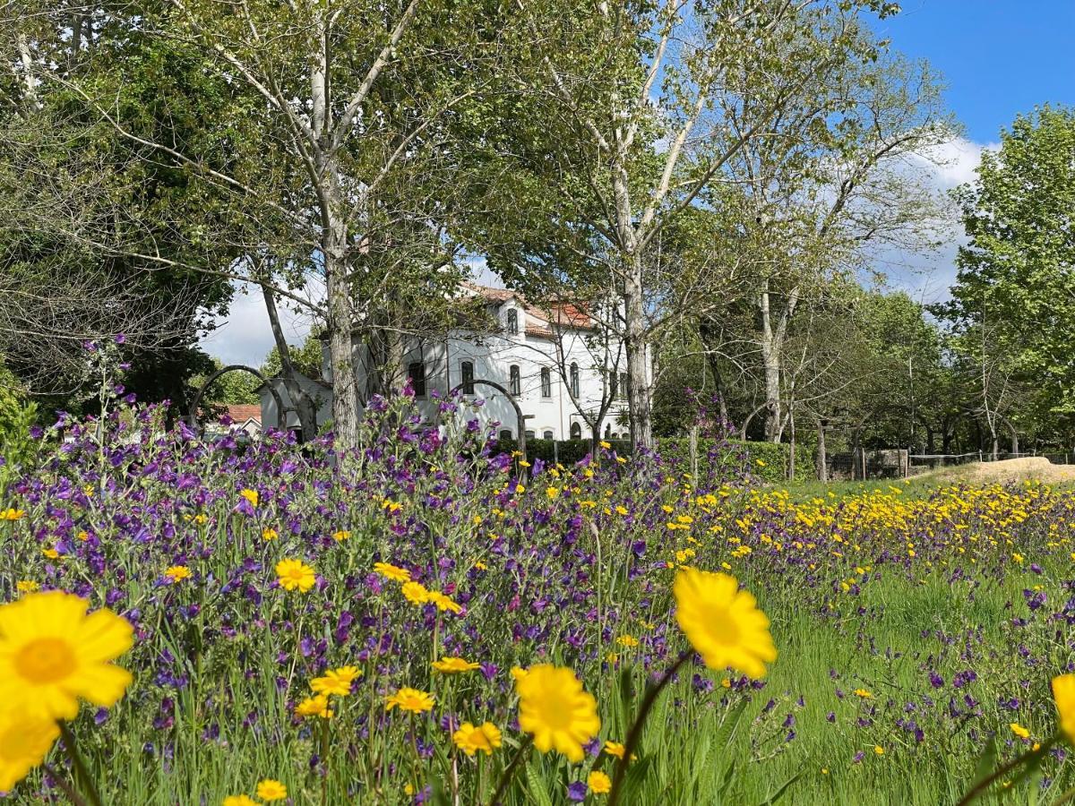 Quinta Do Areal Διαμέρισμα Lousã Εξωτερικό φωτογραφία