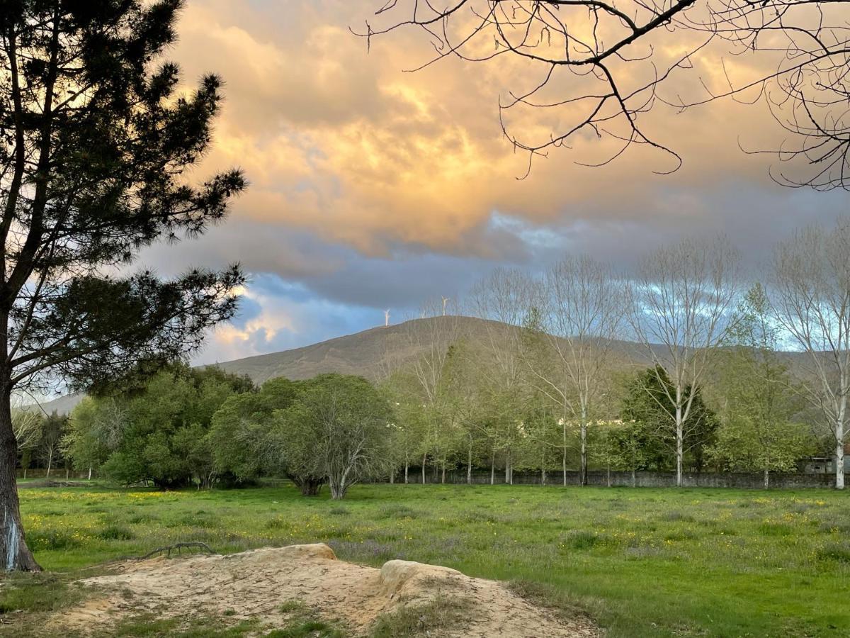 Quinta Do Areal Διαμέρισμα Lousã Εξωτερικό φωτογραφία