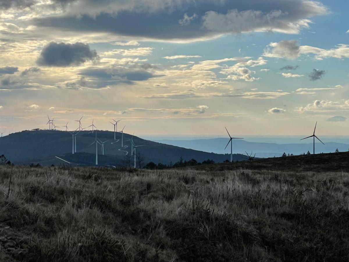 Quinta Do Areal Διαμέρισμα Lousã Εξωτερικό φωτογραφία