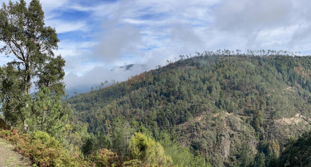 Quinta Do Areal Διαμέρισμα Lousã Εξωτερικό φωτογραφία