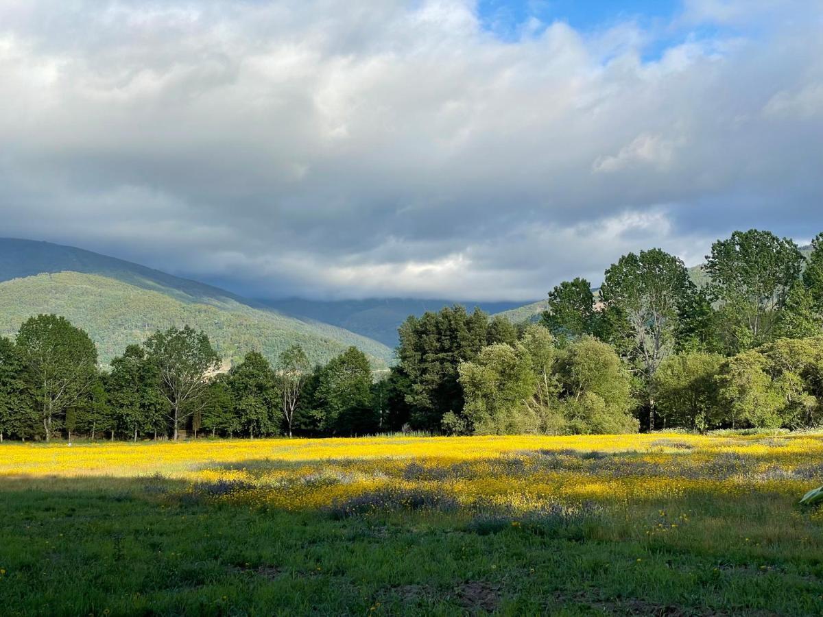 Quinta Do Areal Διαμέρισμα Lousã Εξωτερικό φωτογραφία